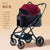 Automatic Folding Pet Stroller for Small Dogs & Cats